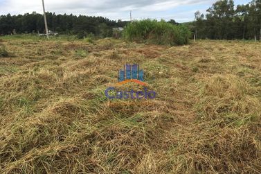 Ch&aacute;cara &agrave; venda - 5000m&sup2; - &Aacute;rea Rural de Umuarama