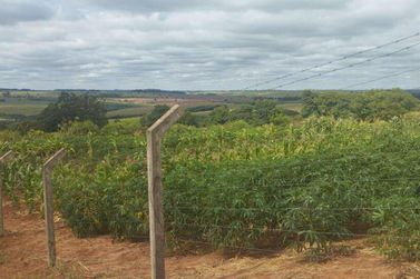 Ch&aacute;cara &agrave; venda - 5m&sup2; - Rodovia PR-489