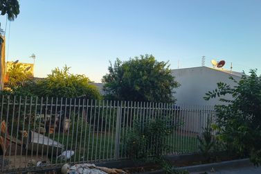Terreno &agrave; venda - 525m&sup2; - Zona VII