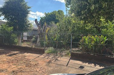 Terreno &agrave; venda - 525m&sup2; - Zona I