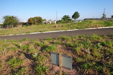 Terreno &agrave; venda - 376m&sup2; - Parque Firenze