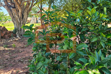 Ch&aacute;cara &agrave; venda - 21000m&sup2; - Zona Rural