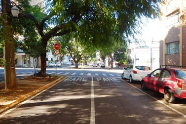 Apartamento para alugar - ZONA I
