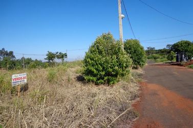 Terreno &agrave; venda - 253m&sup2; - Parque Residencial Viena