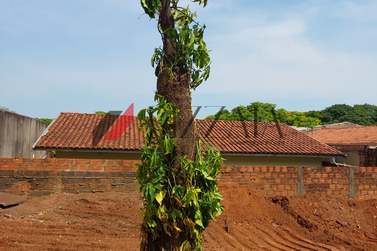 Terreno &agrave; venda - 525m&sup2; - Zona VI