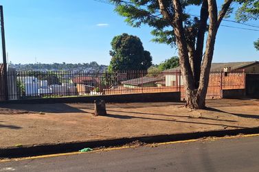 Terreno &agrave; venda - 533m&sup2; - Zona V