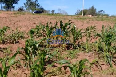 Ch&aacute;cara &agrave; venda - 5000m&sup2; - &Aacute;rea Rural de Umuarama