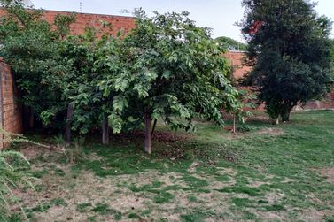 Casa &agrave; venda - 90m&sup2; - Zona VI