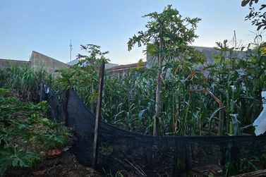 Terreno &agrave; venda - 144m&sup2; - Jardim Tropical