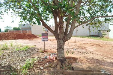 Terreno &agrave; venda - 149m&sup2; - Jardim Janina II