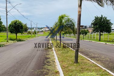 Terreno &agrave; venda - 560m&sup2; - Avenida De Frente Ao Shopping Palladium