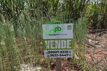 Terreno &agrave; venda - 245m&sup2; - Parque Residencial Metropolitano II