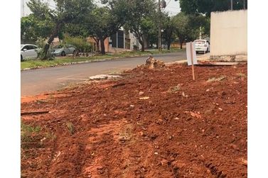 Terreno &agrave; venda - 325m&sup2; - ZONA V