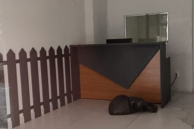 Sal&atilde;o Comercial para alugar - 50m&sup2; - ZONA II