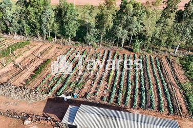 Ch&aacute;cara &agrave; venda - 48400m&sup2; - Santa Eliza