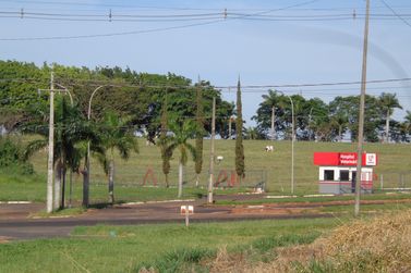 Terreno &agrave; venda - 155m&sup2; - Parque Metropolitano