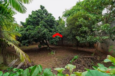 Ch&aacute;cara &agrave; venda - 445m&sup2; - Jardim America