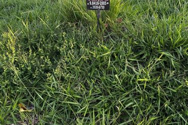 Terreno &agrave; venda - 245m&sup2; - Parque Residencial Metropolitano II