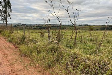 Terreno &agrave; venda - 121m&sup2; - Alto Piquiri