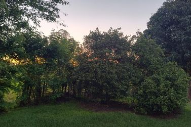 Ch&aacute;cara &agrave; venda - 6400m&sup2; - FUNDOS DO JARDIM PAC&Iacute;FICO