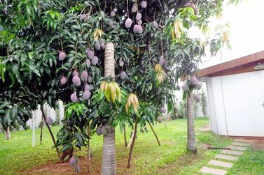 Casa &agrave; venda - 268m&sup2; - JARDIM FLAMBOYANT