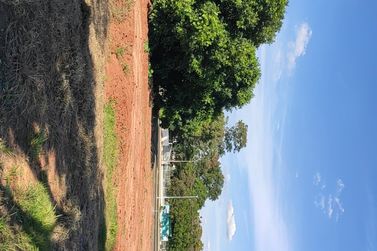 Terreno para alugar - 2350m&sup2; - Em frente a Guarda Mirim