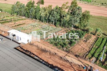 Ch&aacute;cara &agrave; venda - 48400m&sup2; - Santa Eliza