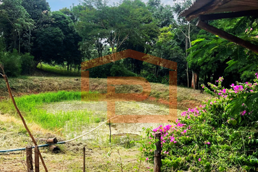 S&iacute;tio &agrave; venda - Estrada Palmital