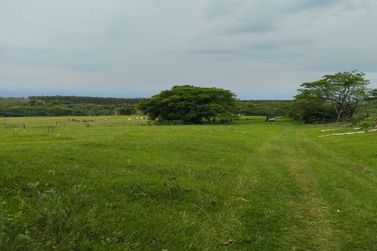 Ch&aacute;cara &agrave; venda - 