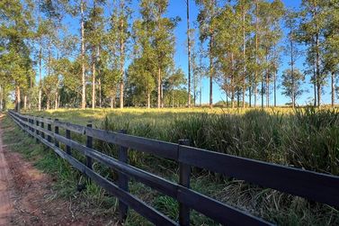Ch&aacute;cara &agrave; venda - 20000m&sup2; - Estrada  Jaborandi