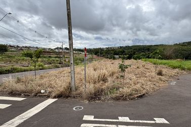 Terreno &agrave; venda - 220m&sup2; - Jardim Roma
