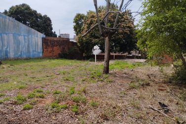 Terreno &agrave; venda - 667m&sup2; - Zona I-A