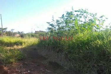 Ch&aacute;cara &agrave; venda - 4096m&sup2; - AREA RURAL