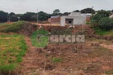 Terreno &agrave; venda - 250m&sup2; - Parque Irani