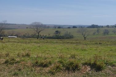 S&iacute;tio &agrave; venda - 16000m&sup2; - Antartica