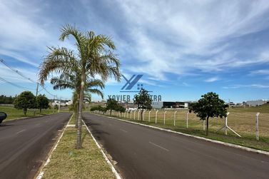 Terreno &agrave; venda - 560m&sup2; - Avenida De Frente Ao Shopping Palladium