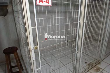 Sala Comercial para alugar - Zona I