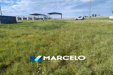 Terreno &agrave; venda - 600m&sup2; - Grevilha Empresarial