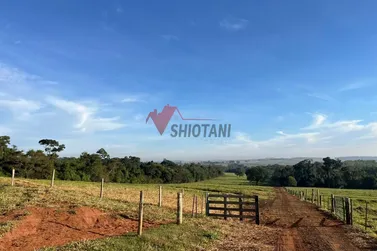 Ch&aacute;cara &agrave; venda - &Aacute;rea Rural de Umuarama