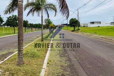Terreno &agrave; venda - 560m&sup2; - Avenida De Frente Ao Shopping Palladium
