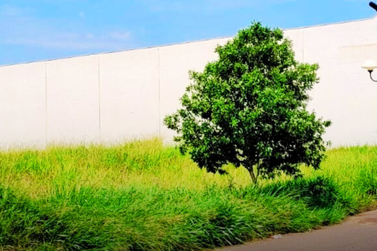 Terreno &agrave; venda - 615m&sup2; - Jardim  Santiago