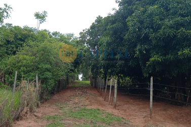 Ch&aacute;cara &agrave; venda - 5m&sup2; - Estrada Pav&atilde;o