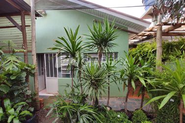Terreno &agrave; venda - 250m&sup2; - CENTRO