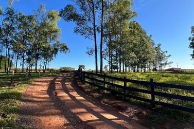 Ch&aacute;cara &agrave; venda - 20000m&sup2; - Estrada  Jaborandi