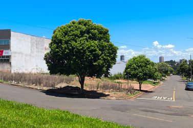 Terreno &agrave; venda - 879m&sup2; - Avenida Portugal