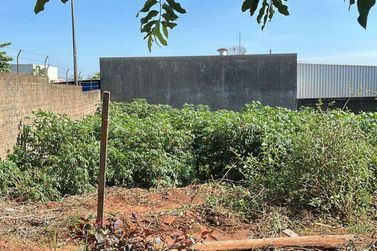 Terreno &agrave; venda - 269m&sup2; - Jardim Novo Mil&ecirc;nio