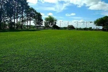 Ch&aacute;cara &agrave; venda - 10000m&sup2; - .