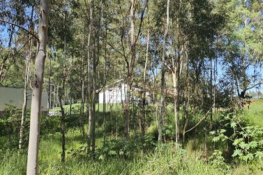 S&iacute;tio &agrave; venda - 7m&sup2; - SERRA DOS DOURADOS