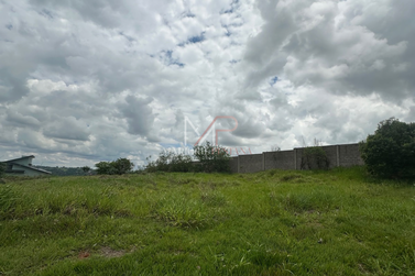 Ch&aacute;cara &agrave; venda - 2500m&sup2; - PR 580