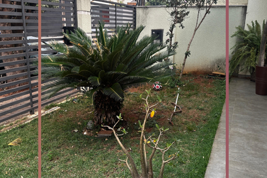 Casa &agrave; venda - 125m&sup2; - Jardim Alphavile